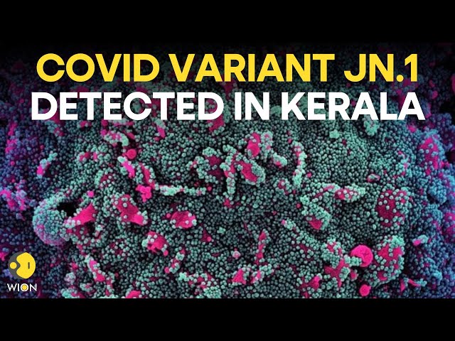 Covid variant JN.1: COVID JN.1 subvariant cases surge worldwide, India records 142 new cases | WION