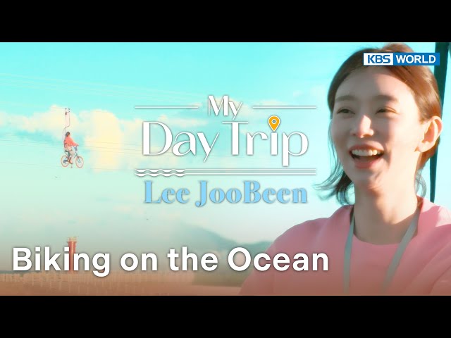 Aranabi Zipline - Biking on the Ocean [My Day Trip] | KBS WORLD TV 231213