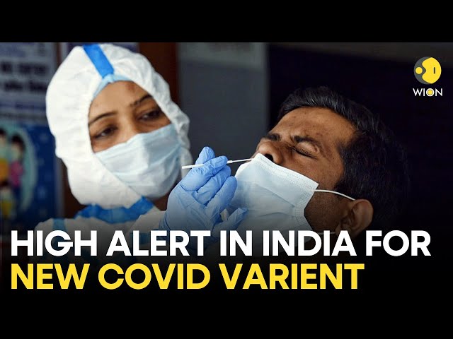 Covid variant JN.1: India logs 614 new Covid cases, highest since May 2021| 3 deaths in Kerala