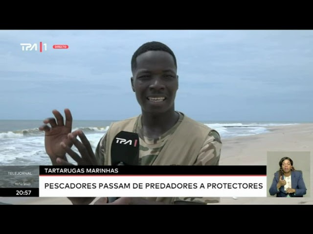 Tartarugas marinhas - Pescadores passam de predadores a protectores