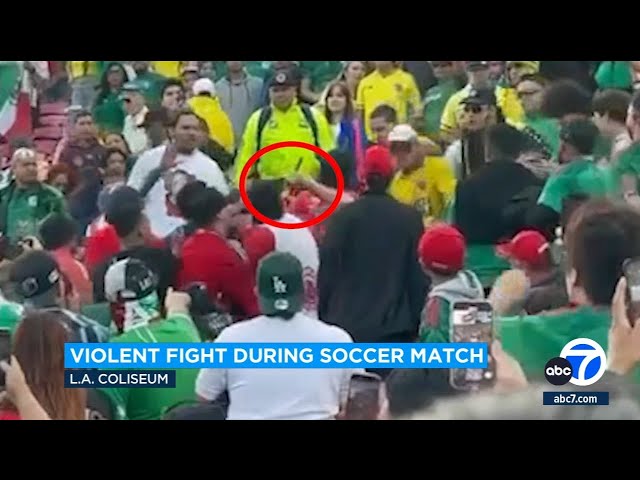 Fans brawl in the stands during Mexico-Colombia soccer game in LA