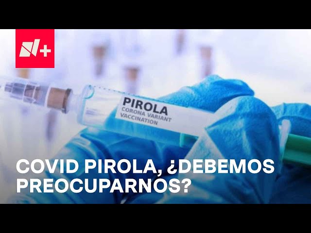 Covid-19 variante Pirola: ¿Qué dicen las autoridades sobre esta cepa del virus? - En Punto