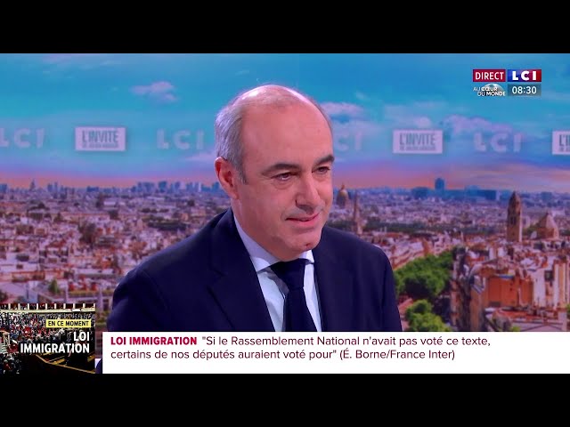 Projet de loi immigration voté à l'Assemblée : "On a gagné", estime Olivier Marleix