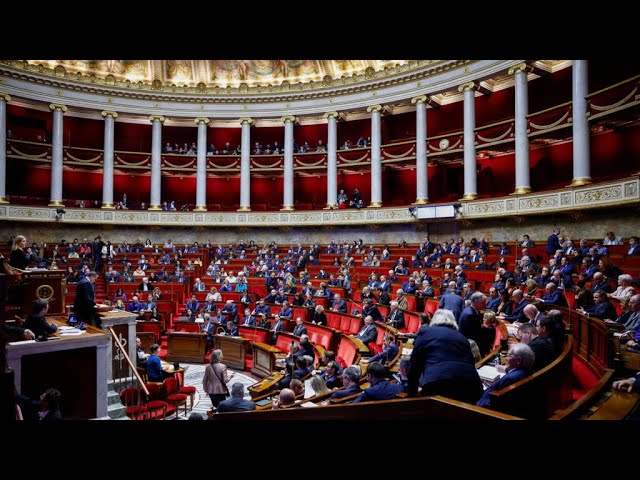 بعد مفاوضات مضنية... البرلمان الفرنسي يقر صيغة نهائية لمشروع قانون الهجرة • فرانس 24 / FRANCE 24