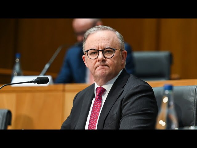 Albanese tries to remain a ‘deliberate small target’ amid ongoing crises