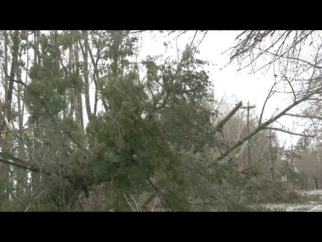 Southwestern New Brunswick one of the hardest hit by storm