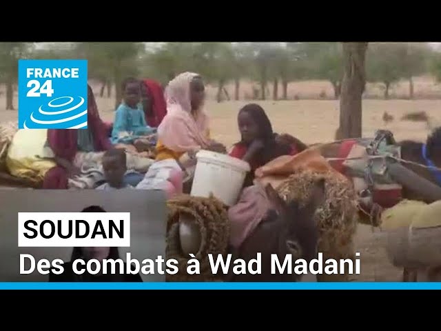 Soudan : des combats à Wad Madani • FRANCE 24