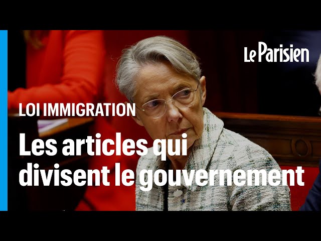 Loi Immigration : ces articles qui divisent le camp présidentiel