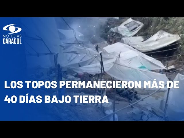 Destruyen por dentro tres minas ilegales de oro en el Parque Natural Farallones