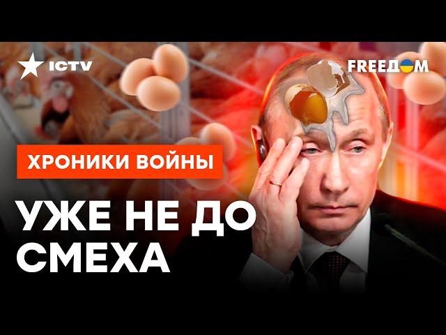 Даже куры ПОДНЯЛИ ПУТИНА НА СМЕХ: что не так с российскими ЯЙЦАМИ @skalpel_ictv