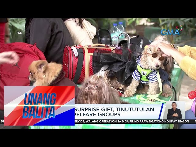 Pets bilang surprise gift, tinututulan ng animal welfare groups | UB