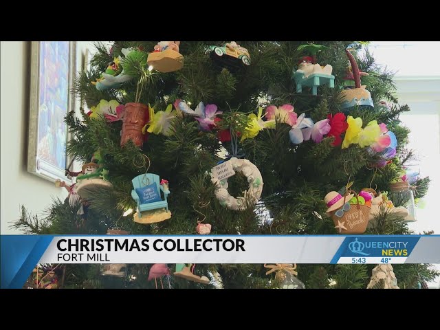 Fort Mill woman has 23 Christmas trees in her home