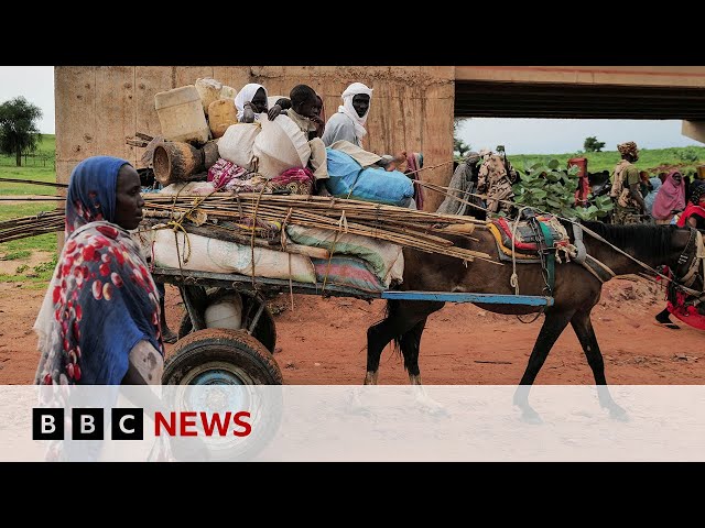 Sudan conflict: At least 4.9m at risk of extreme hunger | BBC News