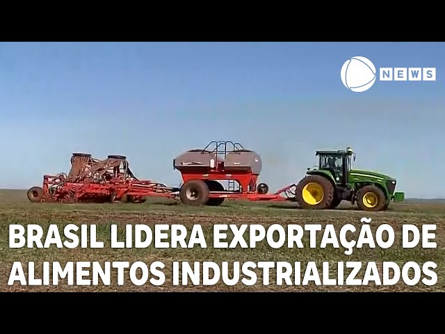 Brasil lidera exportação de alimentos industrializados