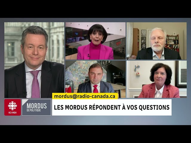 Mordus de politique | Les mordus répondent à vos questions