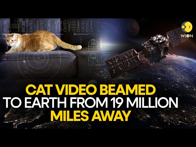 NASA streams an ultra-high-definition video of a cat back to Earth from deep space | WION Originals