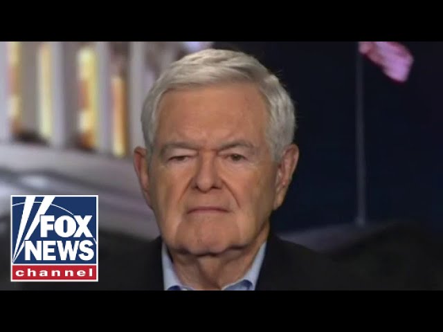 Newt Gingrich: Dems are dangerously close to causing this disaster