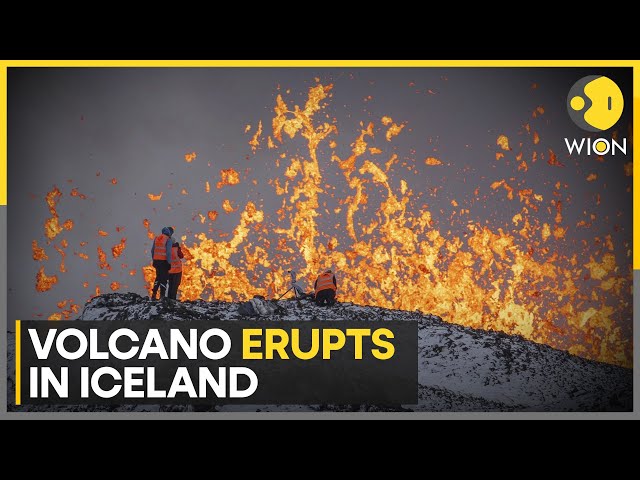 Iceland Volcano erupts after weeks of quake activity | WION