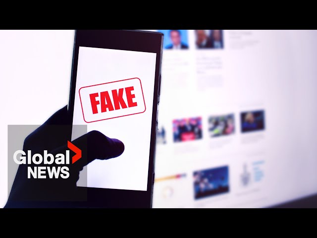 Nearly half of Canadians struggle to tell fact from fiction online: StatCan