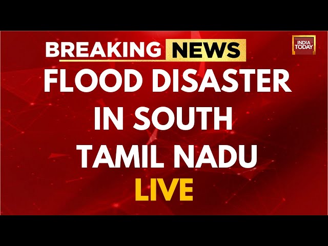 Tamil Nadu Flood Updates LIVE: Tamil Nadu Rain Wreaks Havoc, IMD Issues Red Alert | Chennai News