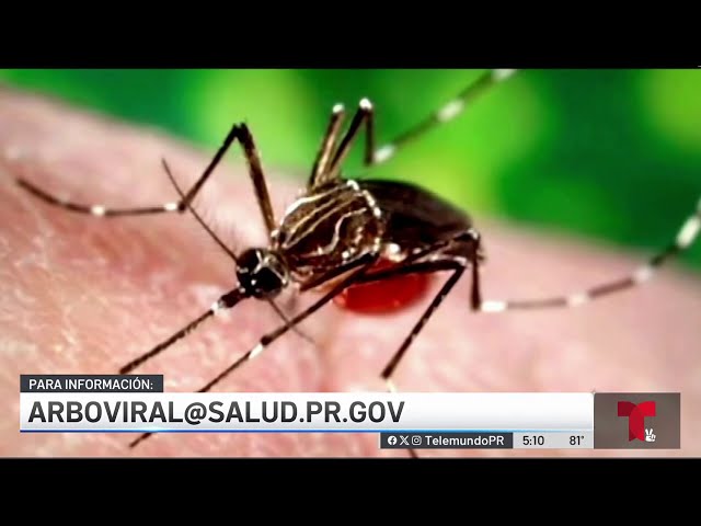 Alertan sobre casos de dengue en Puerto Rico