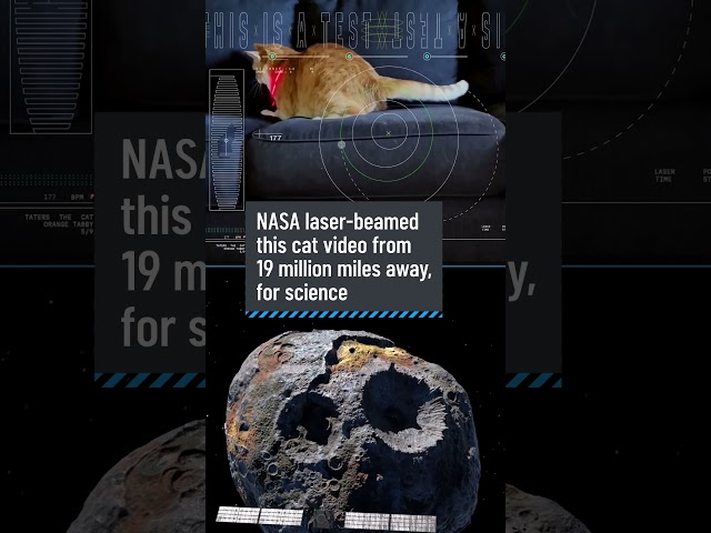 NASA laser-beamed this cat video from 19 million miles away, for science