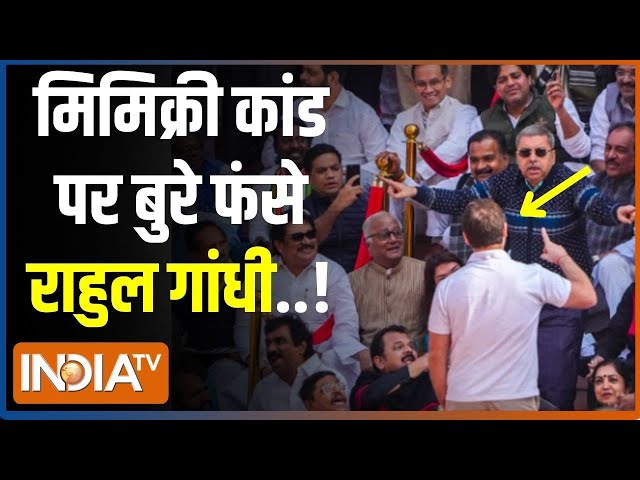 Rahul Gandhi On Mimicr Video: धनखड़ के मिमिक्री वीडियो पर फंस गए राहुल गांधी..24 चुनाव पर भारी!