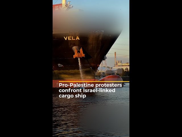 Pro-Palestine protesters confront Israel-linked cargo ship | AJ #shorts