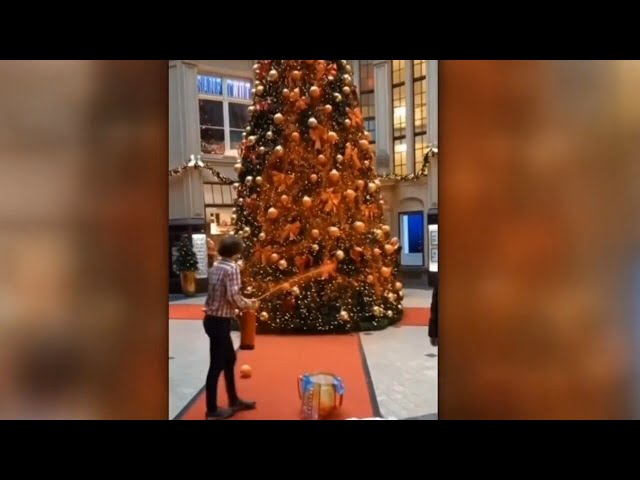 ‘Climate cultists’ in Germany ‘took out their rage’ on Christmas trees in seven cities