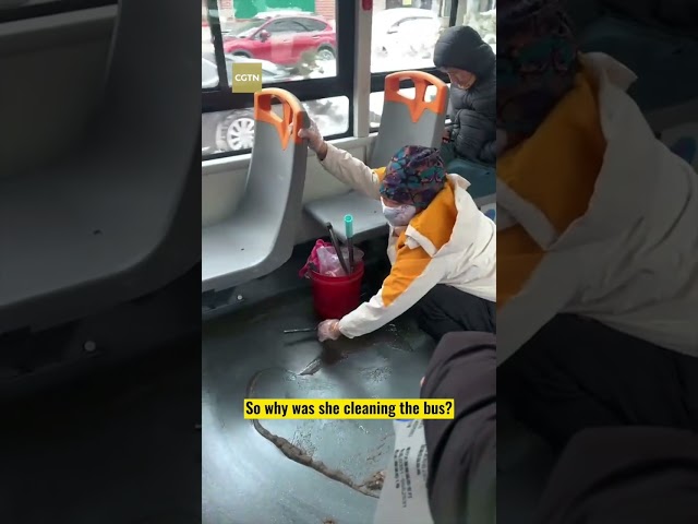 Meet the kind lady on the bus in this cold winter