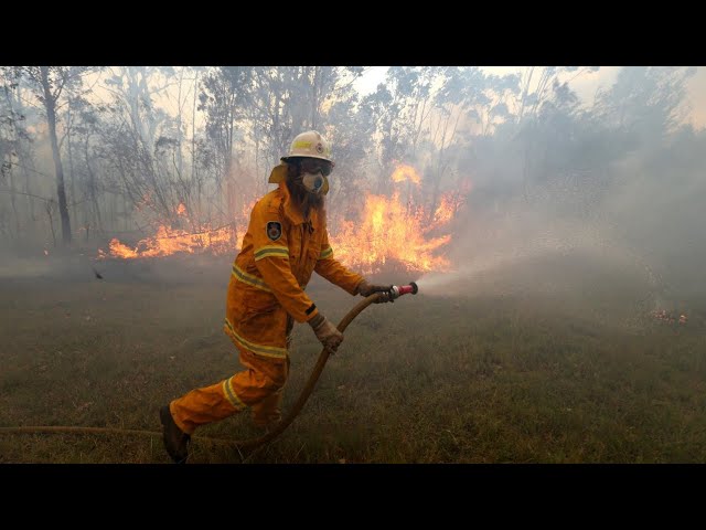 ‘Get to the bottom of it’: RFS number of active volunteers could be less than claimed