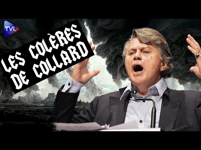 [Format court] Un grand bordel pour une petite loi ! - Les colères de Collard - TVL