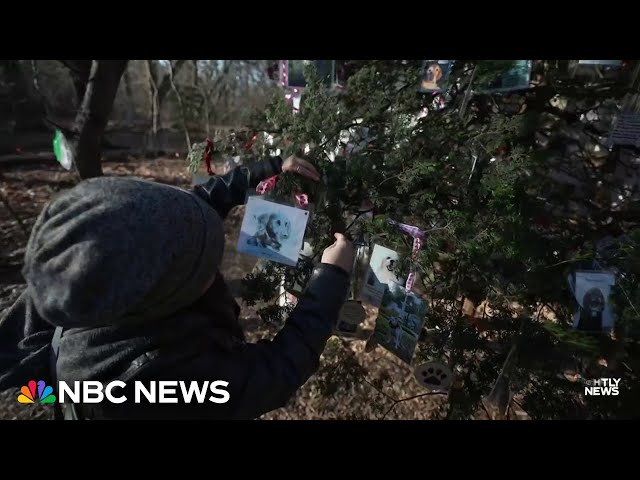 New Yorkers memorialize lost pets with special Central Park Christmas tree