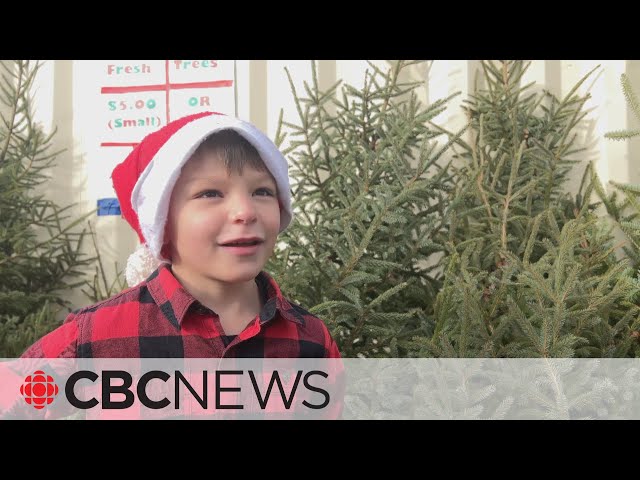 Cape Breton boy starts Christmas tree lot for extra holiday cash