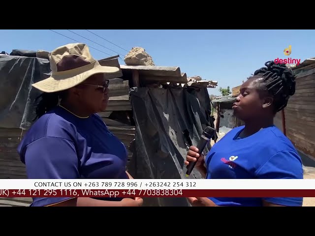 "Kungoonekwa wakabata chingwa chaicho unotokumbirwa" Inside Manyeda squatta camp in Glenvi