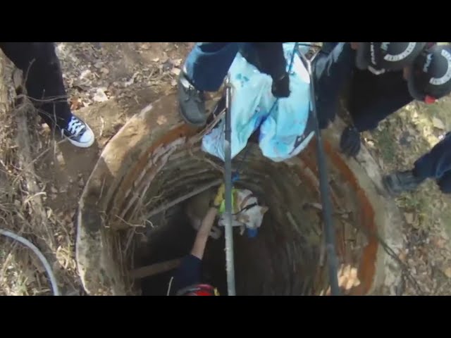 Dog rescued from bottom of 25-foot well after 2 days