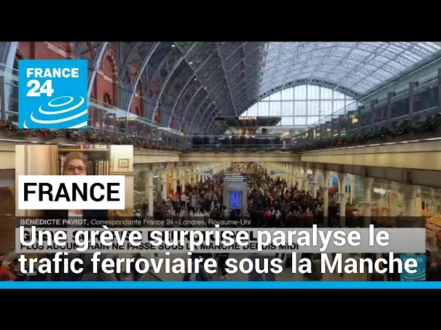 Une grève surprise paralyse le trafic ferroviaire sous la Manche • FRANCE 24