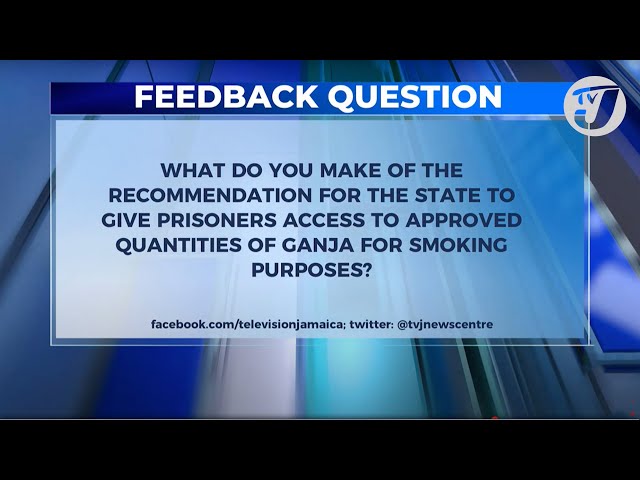 Feedback Question | TVJ News#tvjnews #tvjprimetimenews