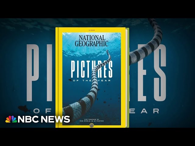 How National Geographic selects the ‘pictures of the year’