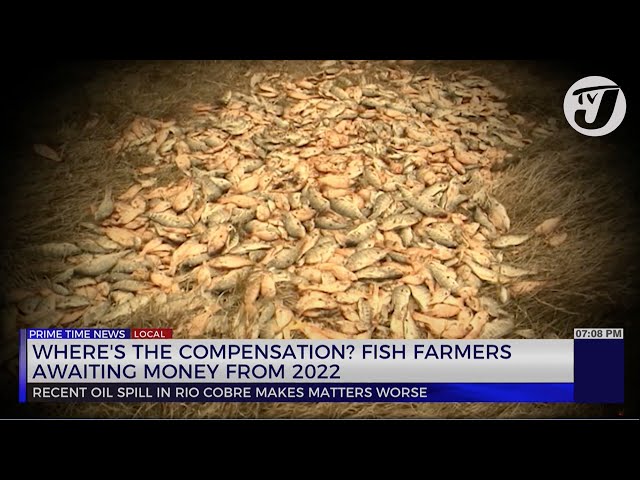 Where's the Compensation? Fish Farmers Awaiting Money from 2022 | TVJ News