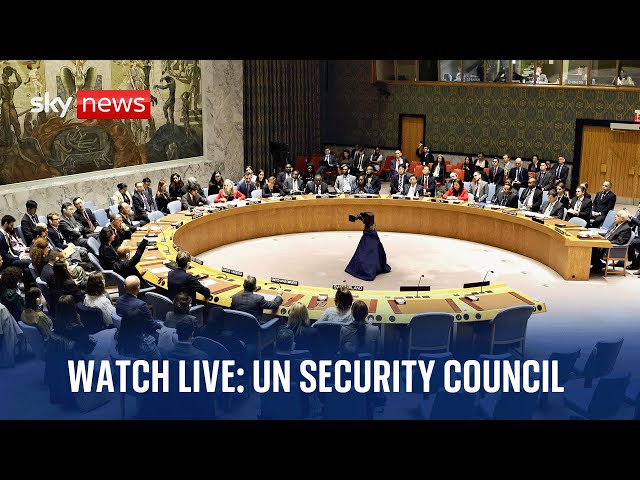 Watch UN Security Council live | Thursday 21 December 2023