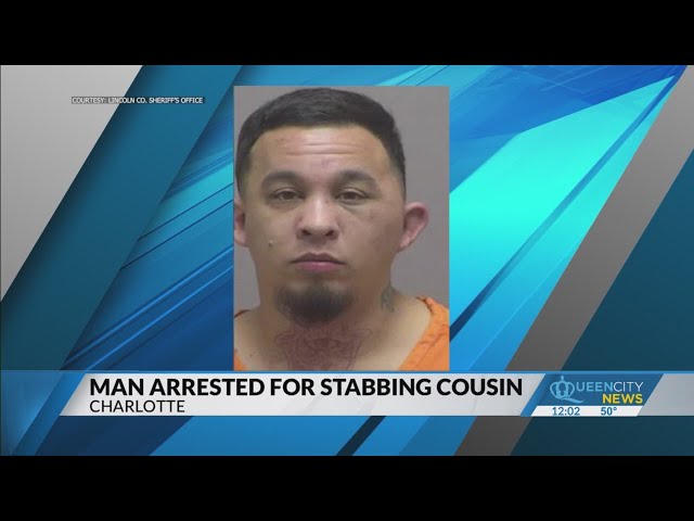 Man stabs cousin in the head with a kitchen knife: Sheriff