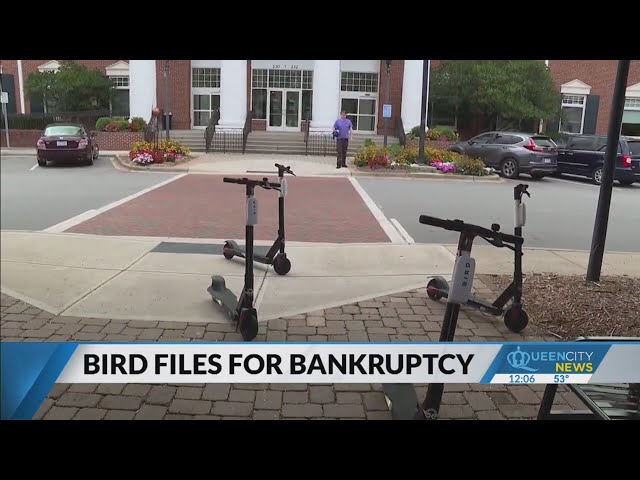 Electric scooter company Bird files for bankruptcy