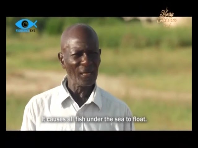  Voices from the Shore: Fishermen Speak on 'Gun Powder' Fishing in Ghana's Waters