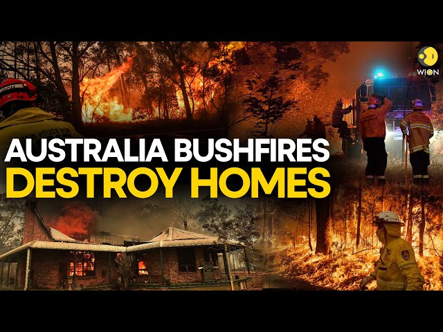 Bushfires destroyed at least two homes in Western Australia I WION Originals