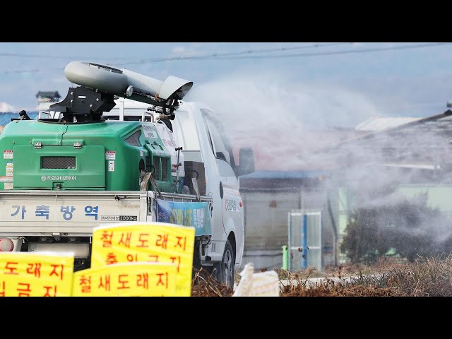 전남 장흥 오리농장서 조류인플루엔자 항원 검출 / 연합뉴스TV (YonhapnewsTV)