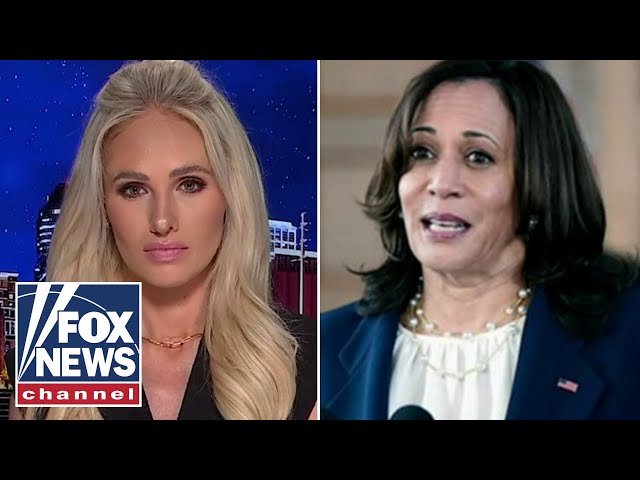 Tomi Lahren: Kamala is mounting an insurrection on the English language