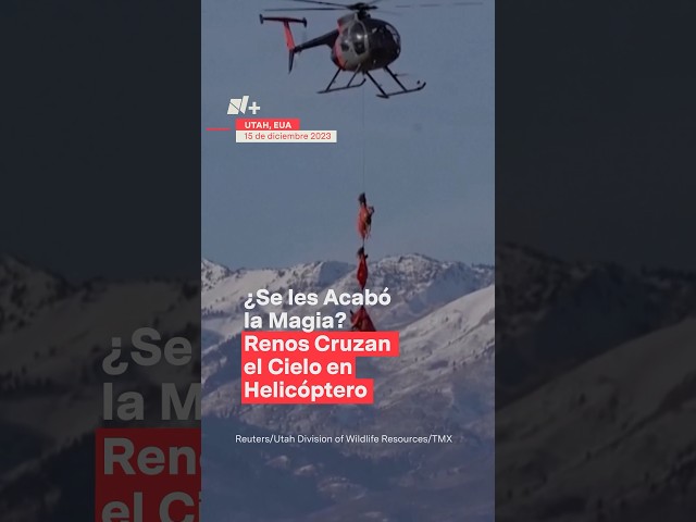 ¿Se les acabó la magia? Renos cruzan el cielo en helicóptero - N+ #navidad2023 #internacional