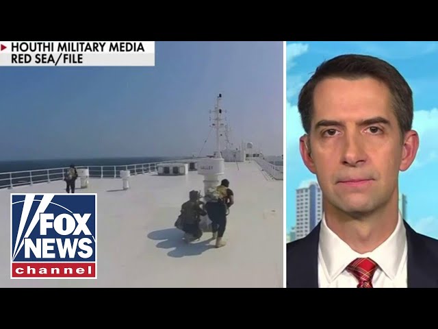 Tom Cotton warns 'sooner or later Americans are going to die'