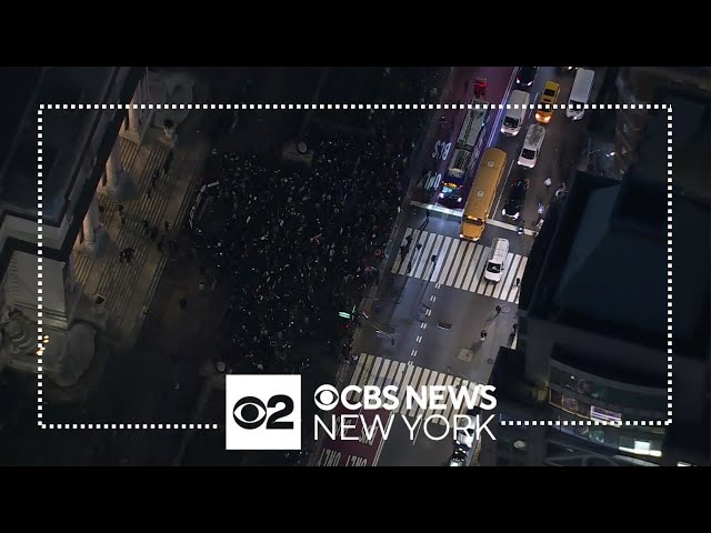 Large cease-fire rally held on steps of New York Public Library